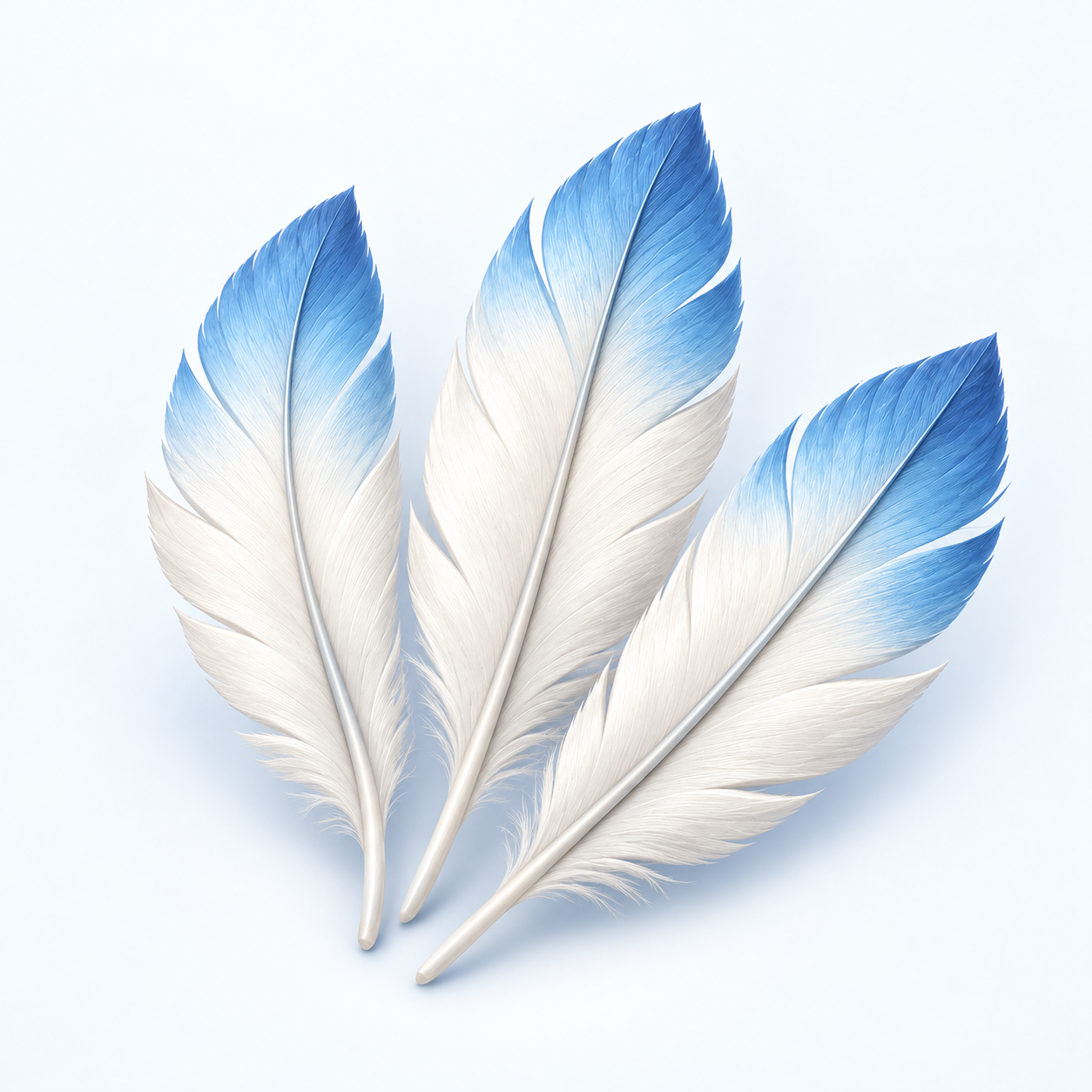 Blue and white feathers